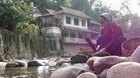 Pounding river weed, moss, for cooking Stock Footage 158901159