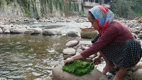 Pounding river weed, moss, for cooking Stock Footage 158901167