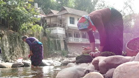 Pounding river weed, moss, for cooking Stock Footage 158901412