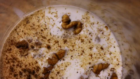 Pour the cinnamon into the blender. I prepare Mexican Stuffed Poblano Peppers in Stock Footage 157781773