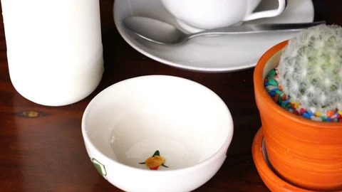 Pour Corn Flakes and Froot Loops to a white bowl Stock Footage 102073484