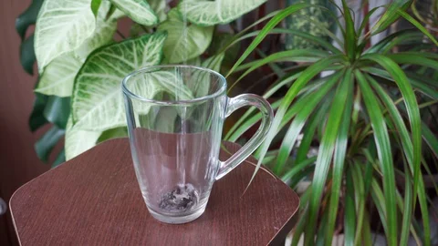 Pour fragrant hot tea into a transparent cup. Healthy and tasty breakfast. Stock Footage 119805136