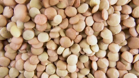 Pour grain on grain close-up Stock-Footage 92122231