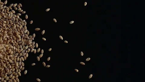 Pour grain left Video stock 74248740