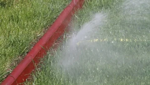 Pour grass ... and himself Vídeos de archivo 8766625