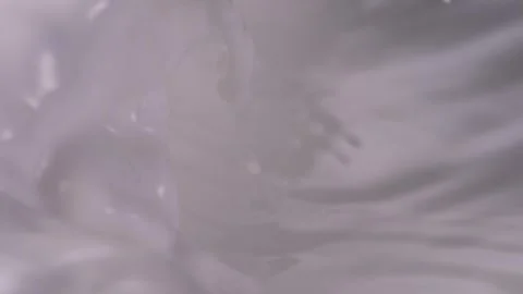 Pour milk and roll，slow motion Video stock 248406345