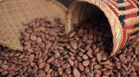 Pour pile of cacao beans Stock Footage 59897305