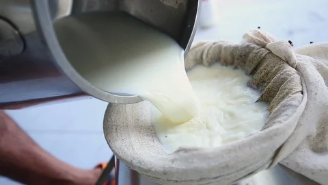Pour raw milk into the container. Stock Footage 115122812