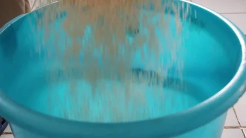 Pour the rice into plastic buckets Stock Footage 72971740