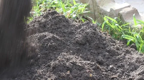 Pour soil in vegetable garden Stock Footage 53274916