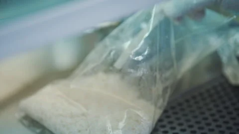 Pour the solution to rice in laboratory close up Video stock 158675817