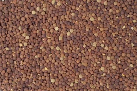 Poured lentil Stock Photos
