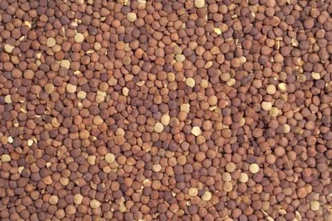 Poured lentil Stock Photos