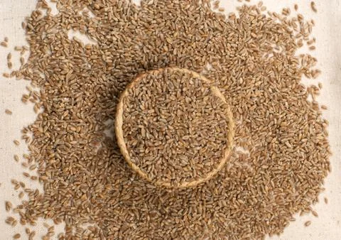 Poured wheat Stock Photos