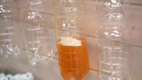 Pouring beer in a beer store. Close-up Stock Footage 130161515