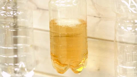 Pouring beer in a beer store. Close-up Stock-Footage 130517768