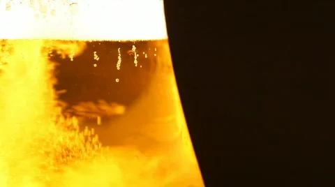 Pouring Beer with bubbles and foam in a glass isolated Stock Footage 666879