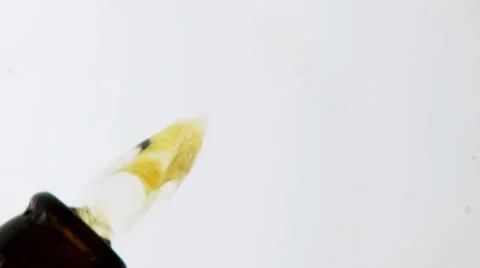 Pouring beer Stock Footage 8573334