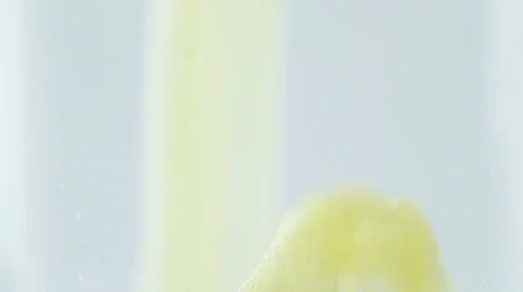 Pouring beer Stock Footage 24604600