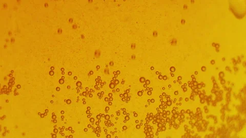 Pouring beer into a glass close-up. Stock Footage 288220189