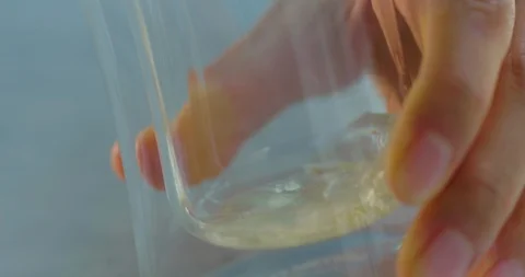 Pouring beer into glass Stock Footage 99739283