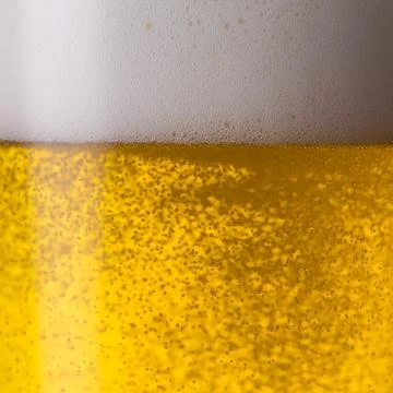 Pouring beer Foto stock