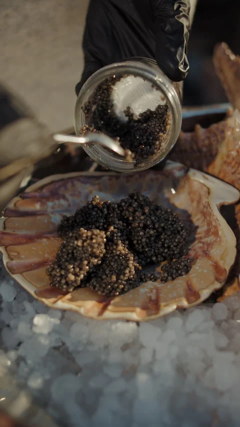Pouring black caviar into scallop shell on ice Stock Footage 309569242