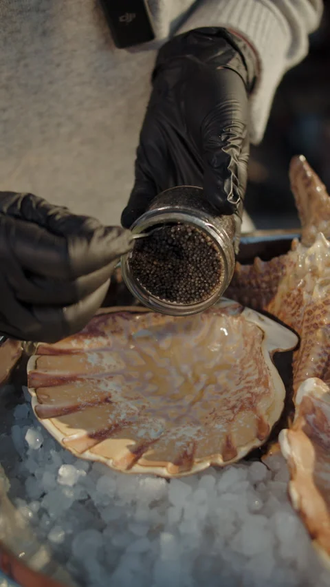 Pouring black caviar onto shell with seafood on ice Stock Footage 308473334