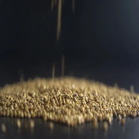 Pouring buckwheat grain 스톡 동영상 69625225