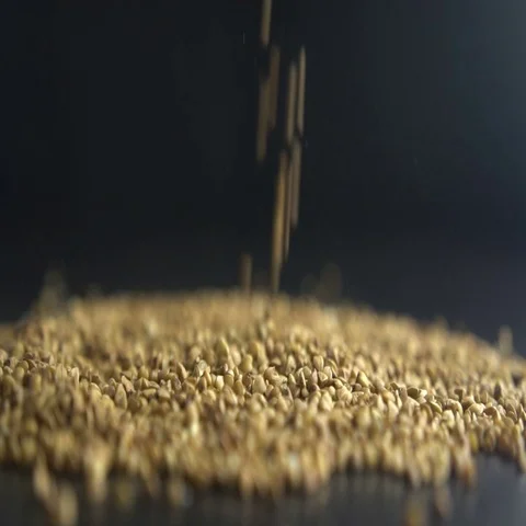 Pouring buckwheat grain. Slow motion Video stock 69622374