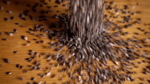 Pouring chia seeds onto table, slow motion Stock Footage 61002160