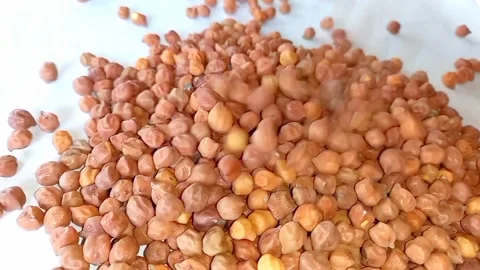Pouring Chickpea seeds isolated on white background footege Stock Footage 277200345