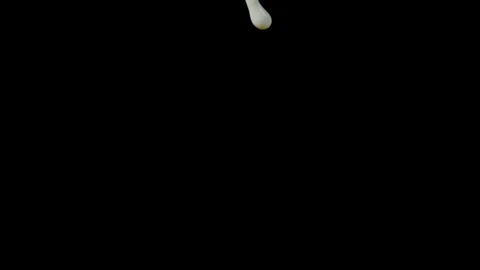 Pouring chocolate cereal flakes in a stream of milk, Ultra Slow Motion Vidéo 86577703