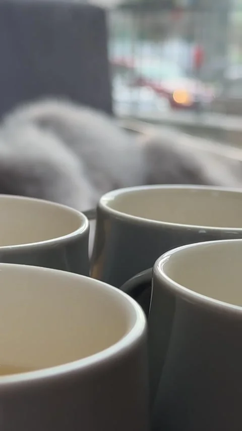 Pouring citrus tea in cup close-up. Fresh hot herbal tea with mint and oranges Stock Footage 326465152