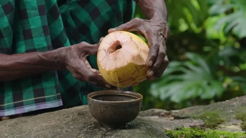 Pouring Coconut Water Video stock 288237344