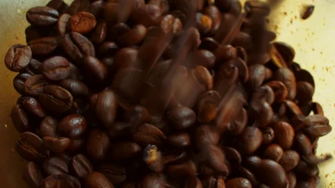 Pouring coffe beans Video stock 104583932