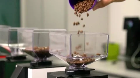 Pouring coffee beans into coffee grinder hopper in slow motion Stock-Footage 158430343