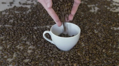 Pouring coffee beans in a cup Stock Footage 65996507