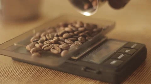 Pouring coffee beans onto espresso scale from metal canister  Stock Footage 293069859