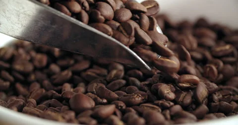 Pouring coffee beans Stock Footage 55878948