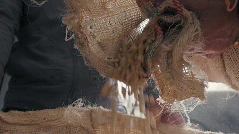 Pouring Coffee Beans from a sack Stock Footage 270980781