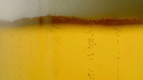 Pouring cold craft light beer with bubbles into glass  Stock Footage 257665639