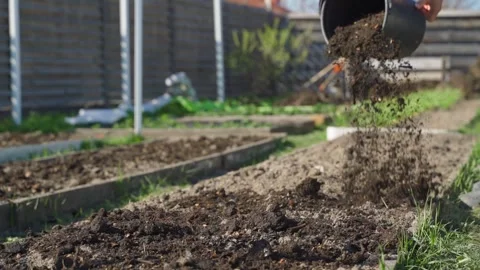 Pouring compost from bucket onto garden bed soil close-up Vídeos de archivo 341747799