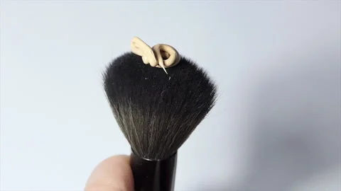 Pouring concealer on makeup brush on white background Stock Footage 227960034