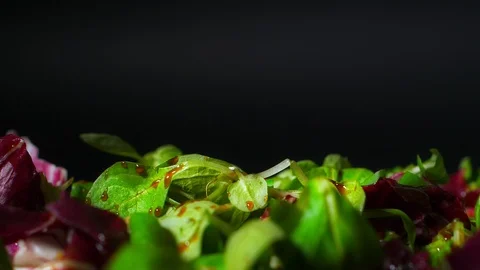 Pouring dressing onto salad 스톡 동영상 96064927