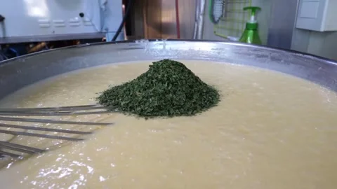 Pouring Dried Herbs and Spices into Large Pot of Creamy Soup Base 스톡 동영상 343587355