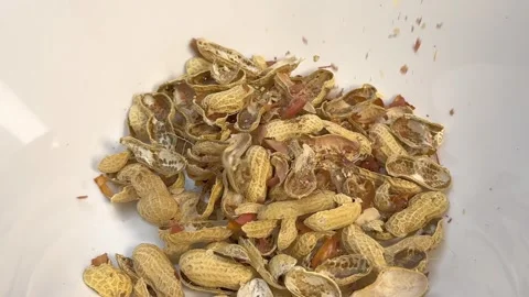 Pouring dried peanut shell 動画素材 260640767