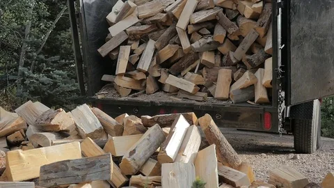 Pouring Firewood From a Dump Trailer. Video stock 80138776