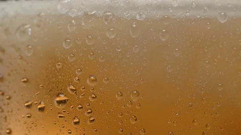 Pouring Fresh Beer Into cold Glass. Stock Footage 77085752