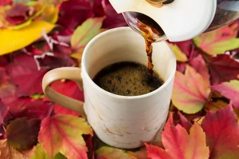 Pouring fresh coffee during fall time Stock Photos